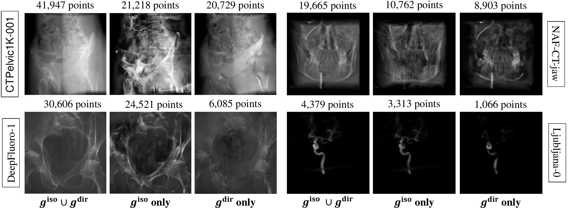 Isotropic and anisotropic contributions to rendered DRRs on four datasets